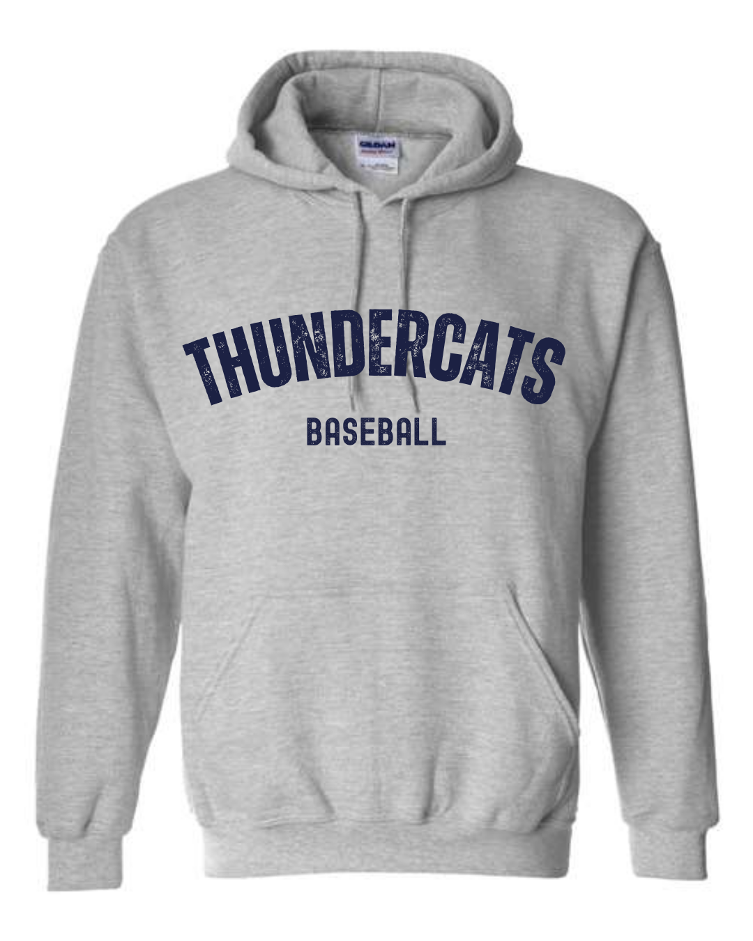 Youth Thundercats Hoodie