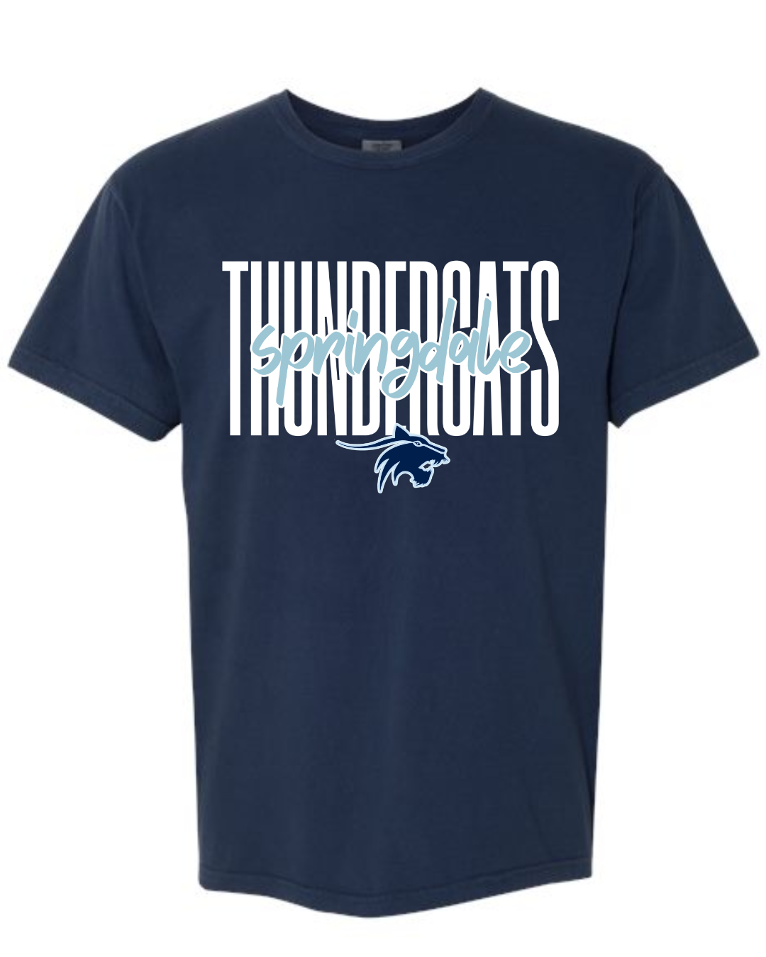 Youth Springdale Thundercats Tee – Sky Customs